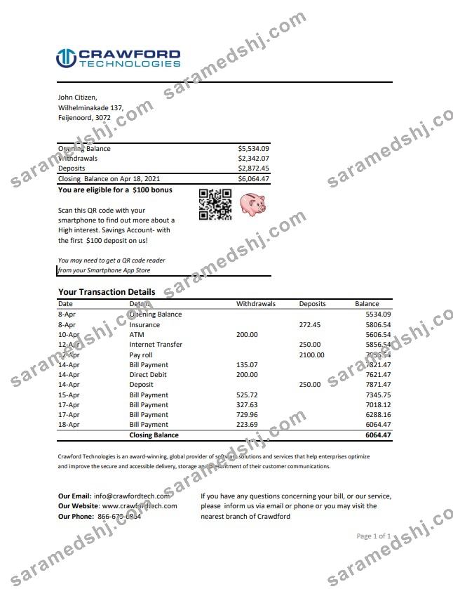 Netherlands (Holland) Crawford Technologies Bank statement easy to fill template in Excel and PDF format